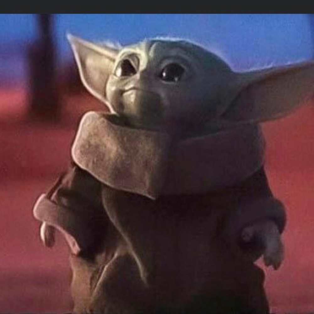 Meet your Posher, Charlotte